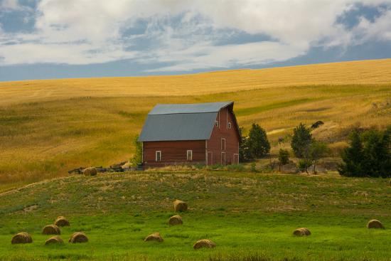 Photographic Print, , large