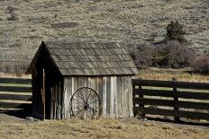 Magpie, Mormon Row, Grand Teton National Park, Wyoming, USA-Michel Hersen-Photographic Print