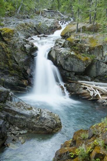Premium Photographic Print, , large