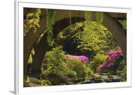 Framed Photographic Print, , large