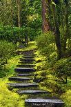 Stairs in Wild Garden, Portland Japanese Garden, Portland, Oregon, Usa-Michel Hersen-Photographic Print
