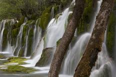 Travertine terraces, Huanglong Scenic and Historic Interest Area UNESCO WHS, Sichuan, China-Michel Roggo-Photographic Print