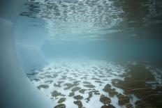 Iceberg reflected in still water of the Crystal Sound, Antarctic Peninsula, Antarctica-Michel Roggo-Framed Photographic Print