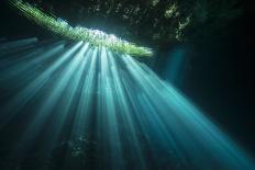 Light shining into Abismo Anhumas or Anhumas Abyss. Serra da Bodoquena, Brazil-Michel Roggo-Photographic Print