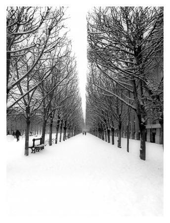 The Tuileries Garden under the snow, Paris
