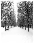 The Tuileries Garden under the snow, Paris-Michel Setboun-Giclee Print