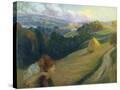 Stretched Canvas