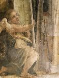 Apollo and Marsyas, c.1540-Michelangelo Anselmi-Stretched Canvas