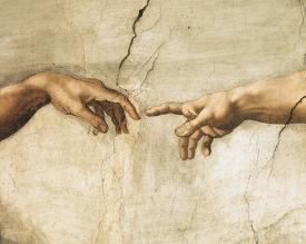 affordable creation of adam
