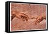 Michelangelo Creation of Adam Graffiti-null-Framed Stretched Canvas