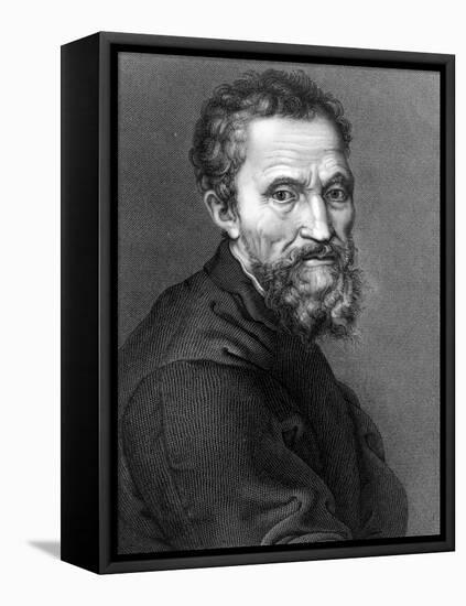 Michelangelo, Italian Renaissance Man-Science Source-Framed Stretched Canvas