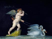 Cupid Being Led by a Pair of Swans-Michelangelo Maestri-Giclee Print