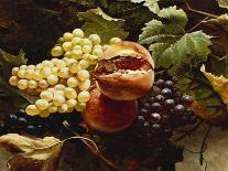 Pomegranates and Grapes-Michelangelo Meucci-Stretched Canvas
