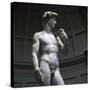Stretched Canvas
