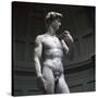 Stretched Canvas