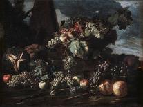 Still Life with Grapes, 17th Century-Michelangelo Pace del Campidoglio-Stretched Canvas