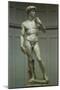 Michelangelo's David, 1502-Michelangelo Buonarroti-Mounted Giclee Print