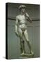 Michelangelo's David, 1502-Michelangelo Buonarroti-Stretched Canvas