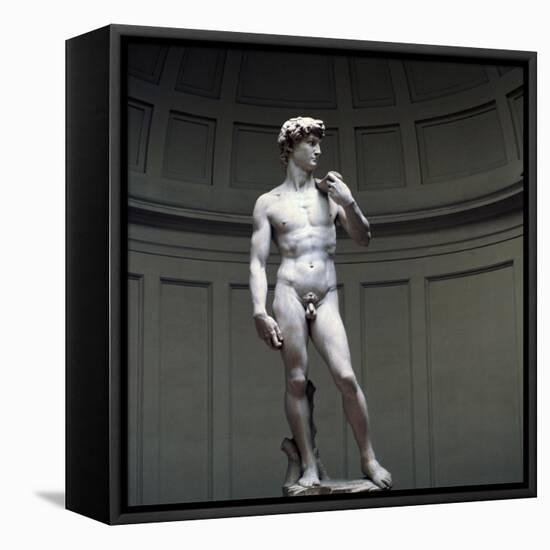 Michelangelo's David, 16th century. Artist: Michelangelo Buonarroti-Michelangelo Buonarroti-Framed Stretched Canvas