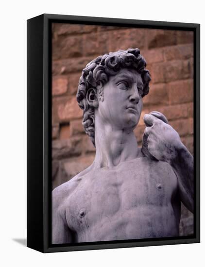 Michelangelo's David, Piazza Della Signoria, Florence, Tuscany, Italy, Europe-Patrick Dieudonne-Framed Stretched Canvas