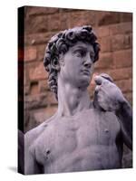 Michelangelo's David, Piazza Della Signoria, Florence, Tuscany, Italy, Europe-Patrick Dieudonne-Stretched Canvas