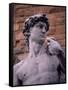Michelangelo's David, Piazza Della Signoria, Florence, Tuscany, Italy, Europe-Patrick Dieudonne-Framed Stretched Canvas