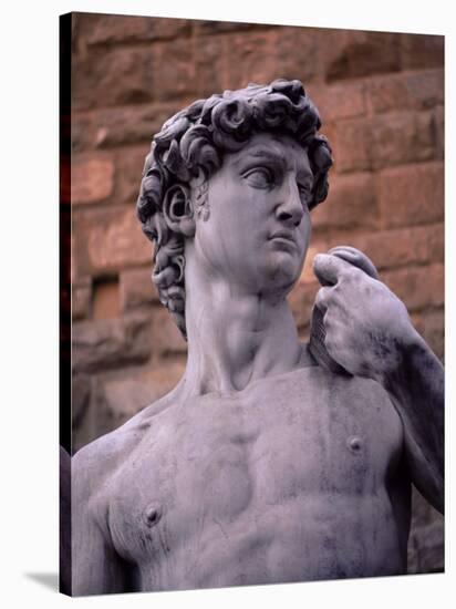 Michelangelo's David, Piazza Della Signoria, Florence, Tuscany, Italy, Europe-Patrick Dieudonne-Stretched Canvas