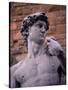 Michelangelo's David, Piazza Della Signoria, Florence, Tuscany, Italy, Europe-Patrick Dieudonne-Stretched Canvas