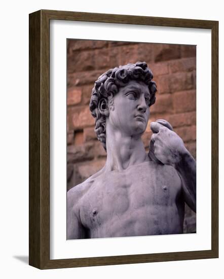 Michelangelo's David, Piazza Della Signoria, Florence, Tuscany, Italy, Europe-Patrick Dieudonne-Framed Photographic Print