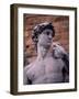 Michelangelo's David, Piazza Della Signoria, Florence, Tuscany, Italy, Europe-Patrick Dieudonne-Framed Photographic Print