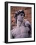 Michelangelo's David, Piazza Della Signoria, Florence, Tuscany, Italy, Europe-Patrick Dieudonne-Framed Photographic Print