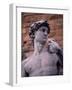 Michelangelo's David, Piazza Della Signoria, Florence, Tuscany, Italy, Europe-Patrick Dieudonne-Framed Photographic Print