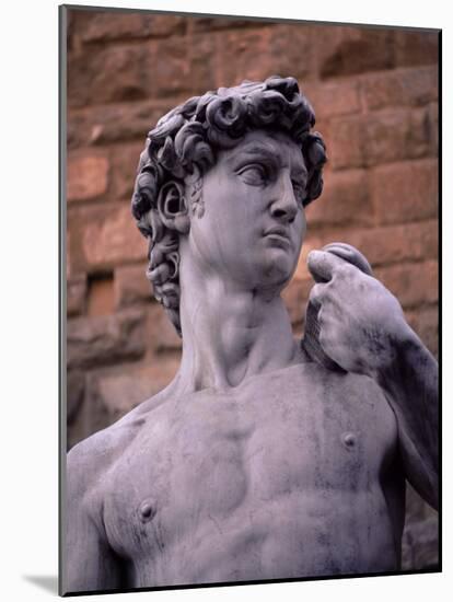 Michelangelo's David, Piazza Della Signoria, Florence, Tuscany, Italy, Europe-Patrick Dieudonne-Mounted Photographic Print