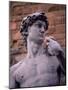Michelangelo's David, Piazza Della Signoria, Florence, Tuscany, Italy, Europe-Patrick Dieudonne-Mounted Photographic Print