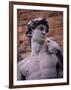 Michelangelo's David, Piazza Della Signoria, Florence, Tuscany, Italy, Europe-Patrick Dieudonne-Framed Photographic Print