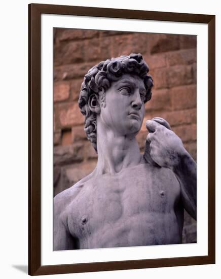 Michelangelo's David, Piazza Della Signoria, Florence, Tuscany, Italy, Europe-Patrick Dieudonne-Framed Photographic Print