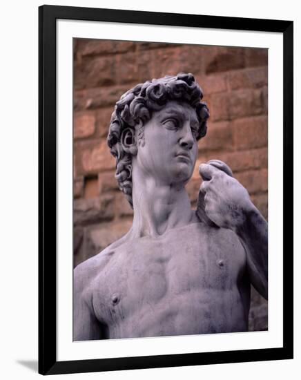 Michelangelo's David, Piazza Della Signoria, Florence, Tuscany, Italy, Europe-Patrick Dieudonne-Framed Photographic Print