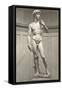 Michelangelo's David-null-Framed Stretched Canvas