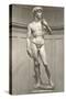 Michelangelo's David-null-Stretched Canvas