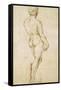 Michelangelo's David-Raphael-Framed Stretched Canvas