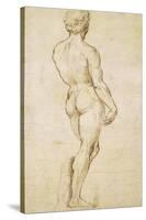 Michelangelo's David-Raphael-Stretched Canvas