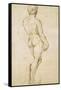 Michelangelo's David-Raphael-Framed Stretched Canvas