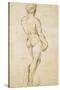 Michelangelo's David-Raphael-Stretched Canvas