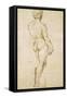 Michelangelo's David-Raphael-Framed Stretched Canvas