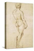 Michelangelo's David-Raphael-Stretched Canvas