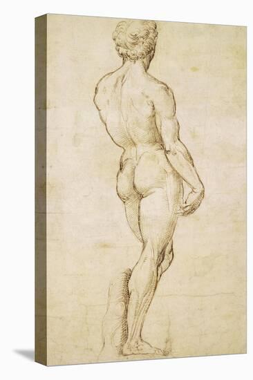 Michelangelo's David-Raphael-Stretched Canvas