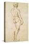 Michelangelo's David-Raphael-Stretched Canvas