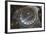 Michelangelo's Dome, St. Peter's Basilica, Vatican City, Rome, Lazio, Italy-Stuart Black-Framed Photographic Print