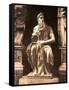 Michelangelo's Moses, 1890s-Science Source-Framed Stretched Canvas