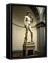 Michelangelo's Sculpture of David, Florence, Italy-Bill Bachmann-Framed Stretched Canvas